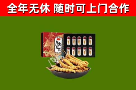 南部县回收冬虫夏草价格