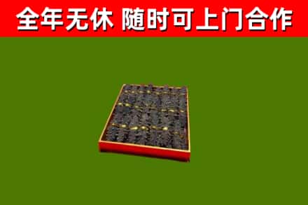 南部县回收海参